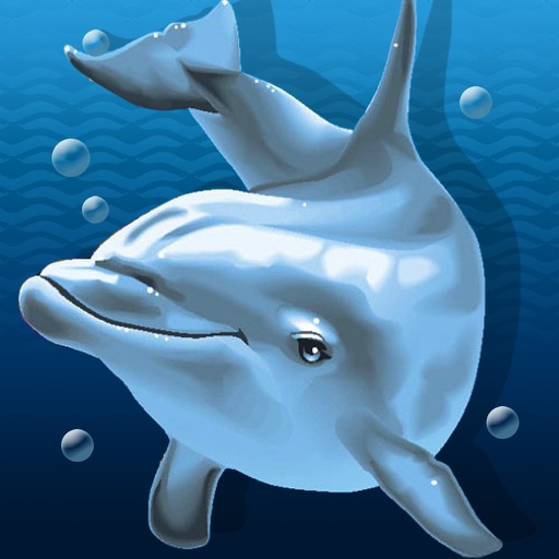 Dolphin club iOS App