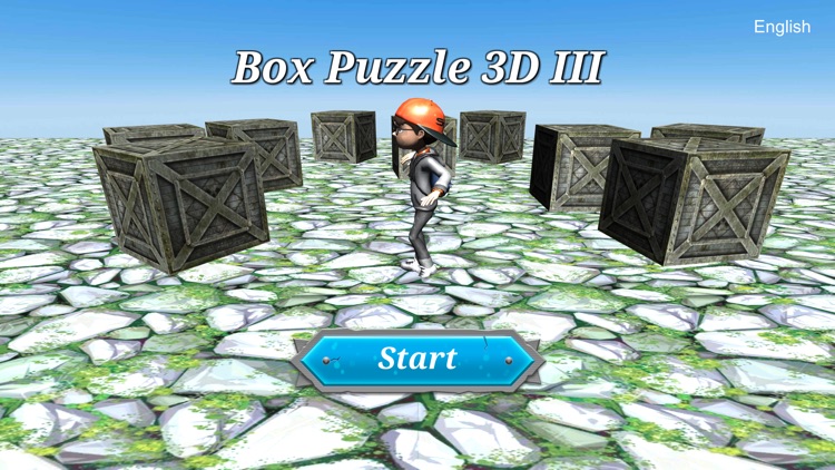 Box Puzzle 3D III