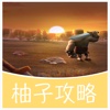 柚子游戏攻略 for 部落冲突 (Clash of Clans) COC