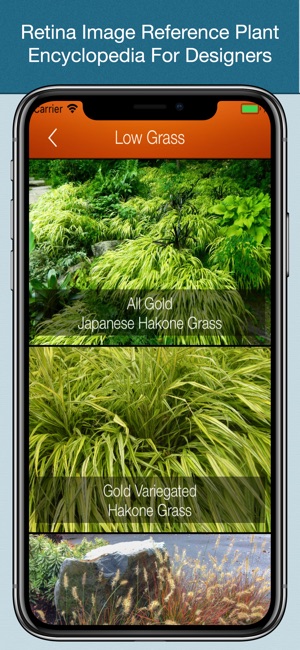 Plant Catalogue(圖3)-速報App