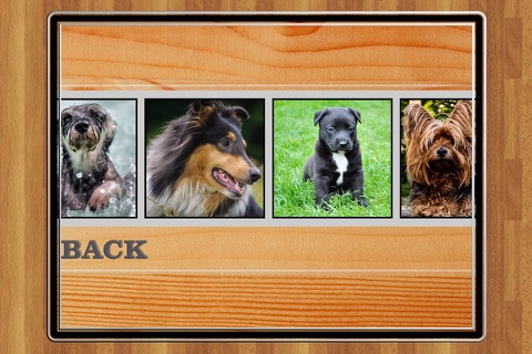 Cute Dogs Jigsaw Puzzle Set screenshot 3