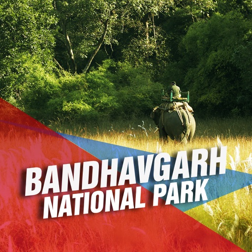 Bandhavgarh National Park Tourism Guide