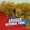 Kruger National Park Tourism Guide