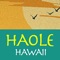 Hawaii's Best New App 2016 & 2015