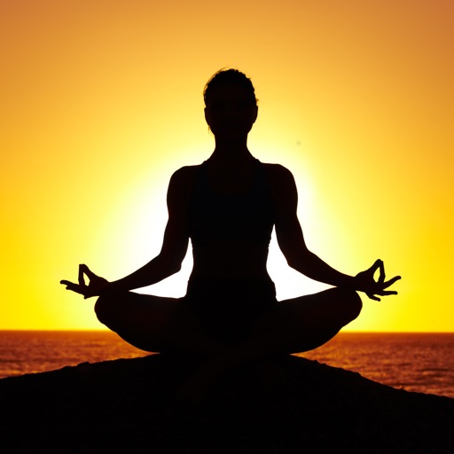 Yoga Photos & Videos | Amazing 308 Videos and 19 Photos | Watch and learn