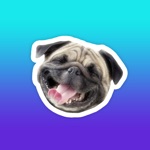 Crazy Animals Funny animal reaction meme stickers