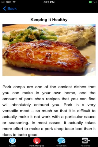 A+ Easy Pork Chop Recipes screenshot 2