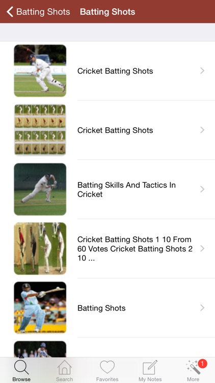 1,001 Cricket Tools