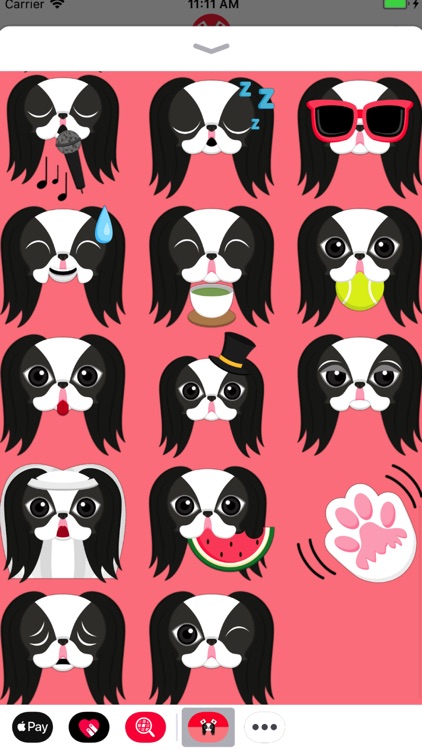 Japanese Chin Puppy Lover