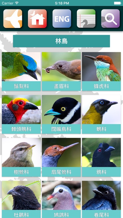 Sabah Birds screenshot-3