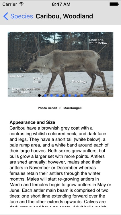 Alberta Wildlife Watch screenshot-3