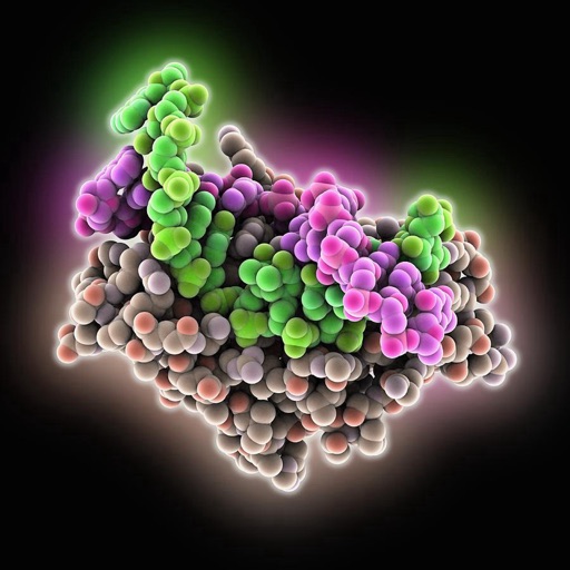 Enzyme Kinetics Glossary:Biochemistry,Chemistry