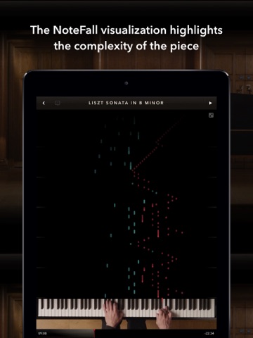 The Liszt Sonata screenshot 3