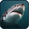 2016 Hungry Spear Shark Hunting - Underwater Deep Sea Shooting Hunting Game