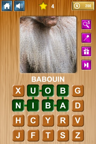 Zoom & Hidden Word - Animals Edition screenshot 4