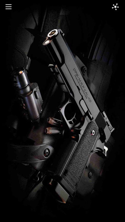 208guns.