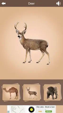 Game screenshot Kids Zoo - Vertebrates hack