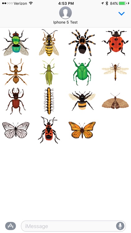 Bugs - Sticker Pack