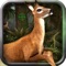 Deer Hunter 2k16: 3D Wild Animal Shooting Sport