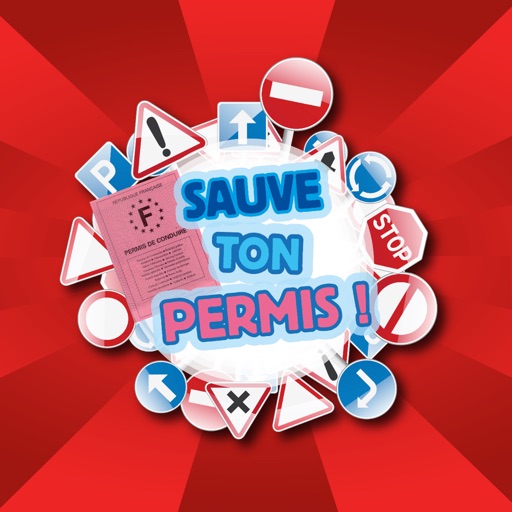 Sauve Ton Permis Icon