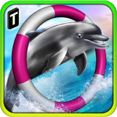 Activities of Dolphin Racing 3D