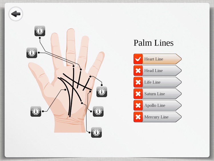 Palm Reading Premium HD - palmistry & chirology