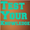 Test Your Knowledge: The Quiz Game