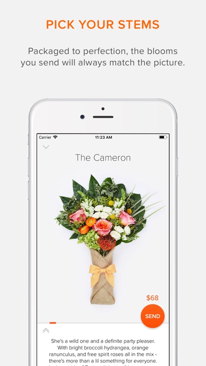 BloomThat - Send Flowers Now!