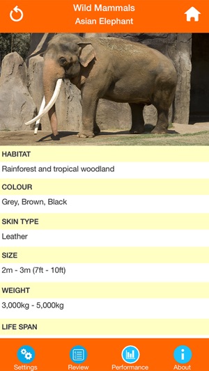 Animals : Wild Mammals Quiz(圖3)-速報App