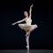 These 235 Ballet Tuitional Videos cover all aspects of Ballet - from beginners to advanced and from young to old