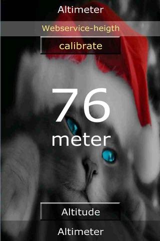 Altimeter Digital screenshot 3