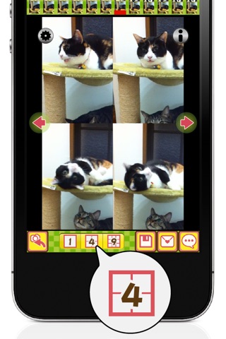 toruneko (KittyCam) screenshot 4