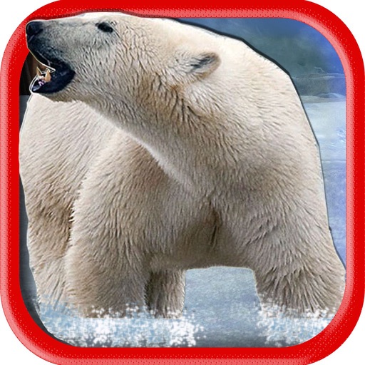 Polar Bear Hunt Icon