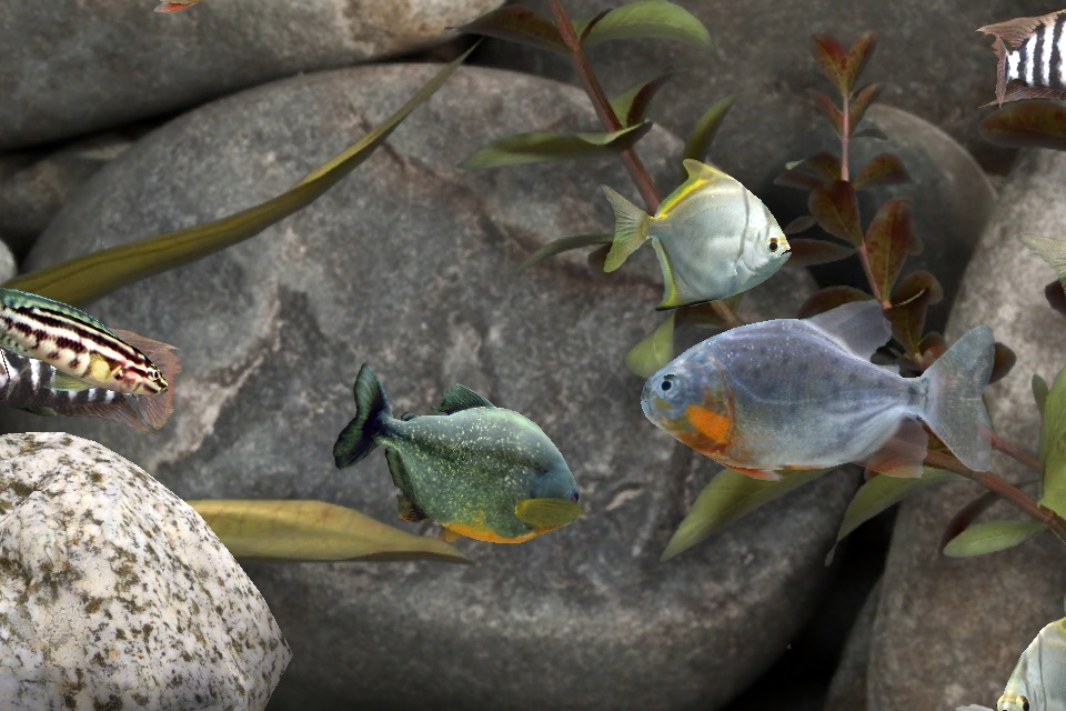MyLake 3D Aquarium screenshot 4