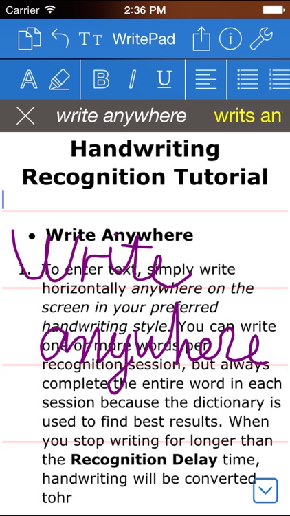 WritePad Professional