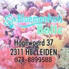 Bloemenhuis Bolle