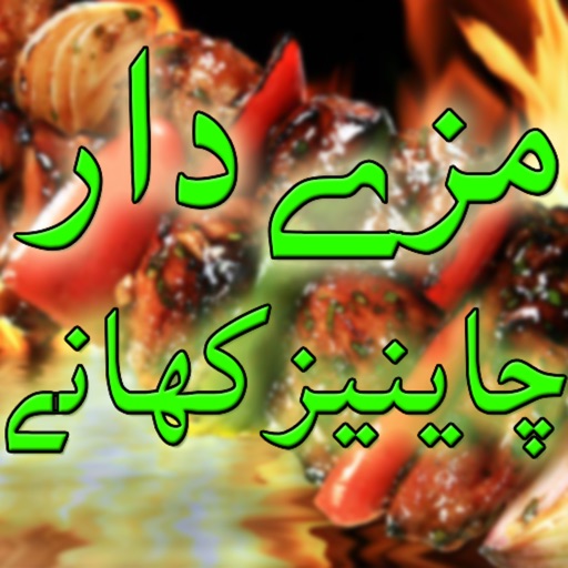 Chinese Recipes in Urdu icon