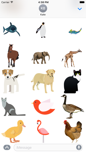 Buncee Animals(圖2)-速報App