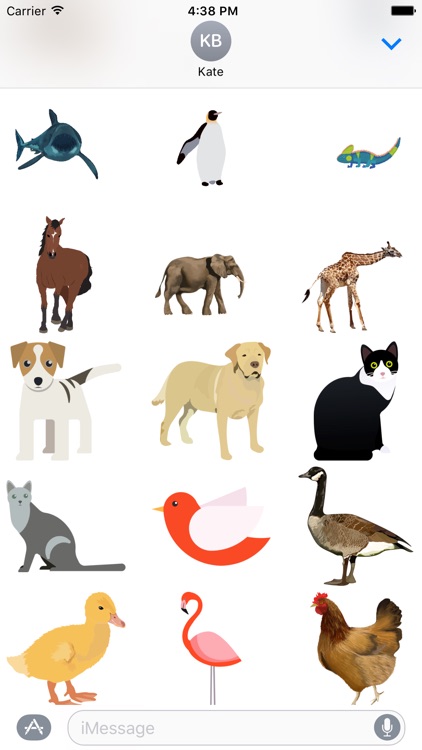 Buncee Animals