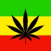 Cannabis Wallpapers : Best Cool Free HD Wallpapers & Backgrounds