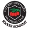 The Cherry Orchard FC Academy develops talented young footballers from the age of three