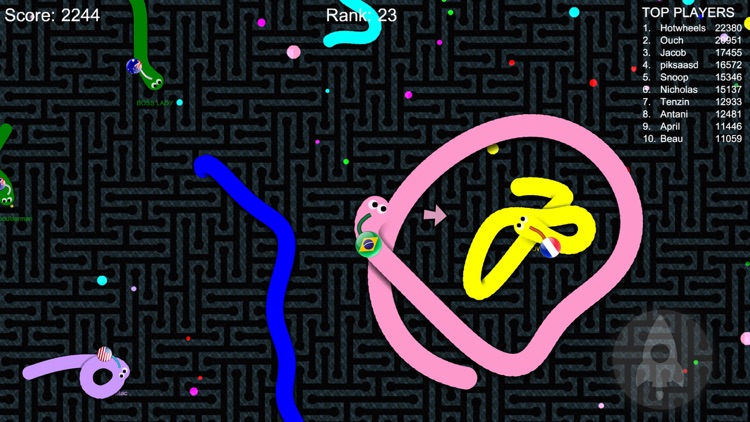 Slither Snake io by Latha P