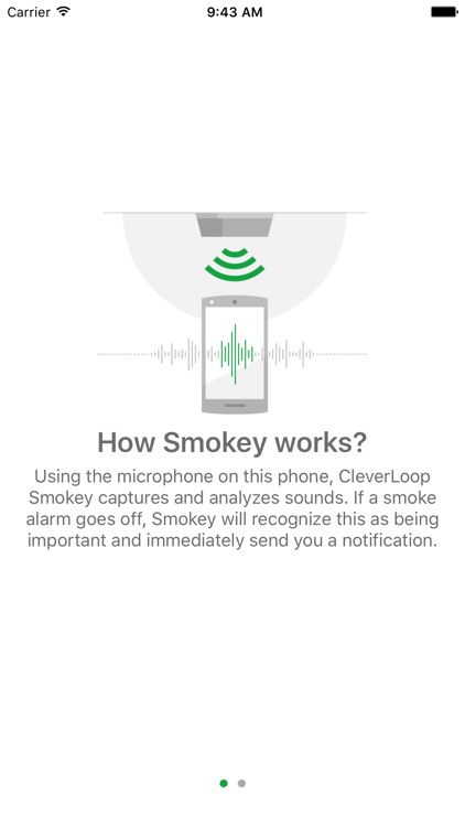 CleverLoop Smokey