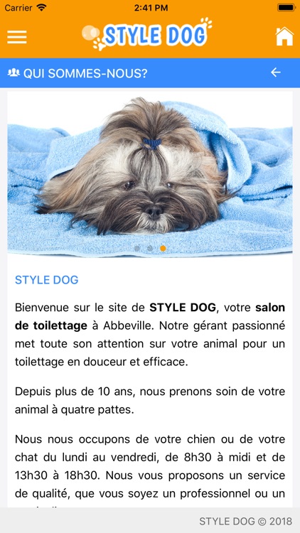 STYLE DOG