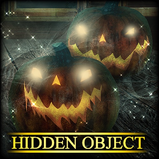 Hidden Object - Ghostly Night Icon