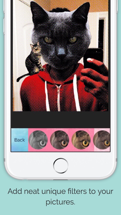 Cats Everywhere - Add Cats to Pictures/Photos