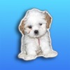 Pupoji - Cute Dog Emoji Keyboard Puppy Face Emojis Pupoji - Cute Dog Emoji Keyboard Puppy Face Emojis