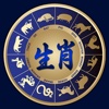 Chinese Astrology Pro