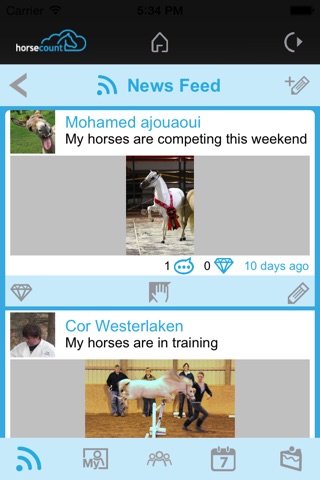 Horsecount screenshot 2