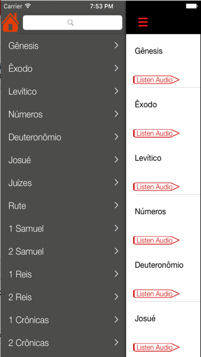 How to cancel & delete Nova Versão Internacional Bíblia (Audio) from iphone & ipad 2